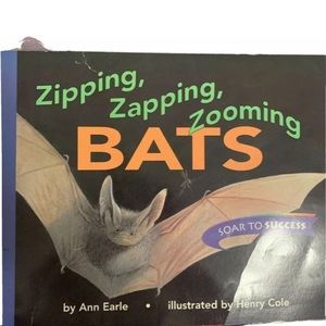 Zipping zapping zooming bays soar to suc